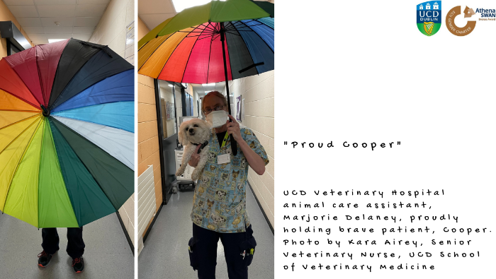 Animal care assistant holding dog and rainbow umbrella